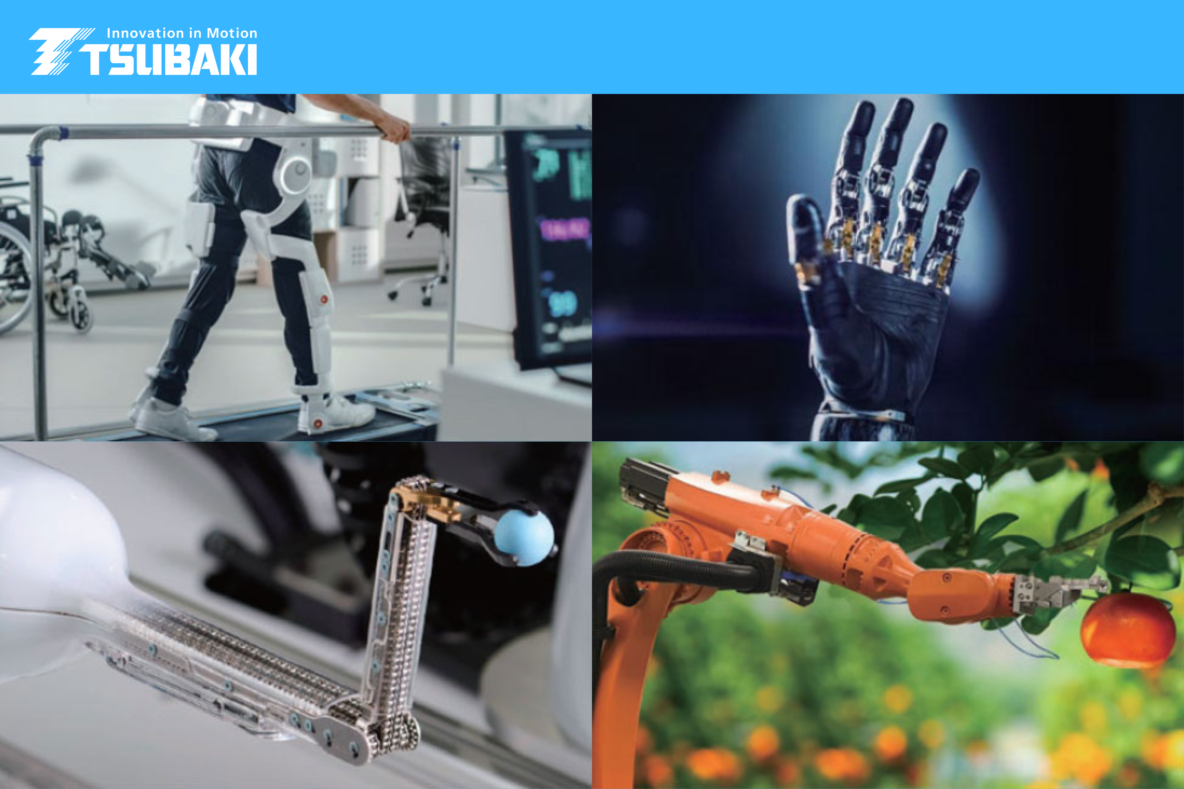 Epsilon Chain - The World's Smallest Roller Chain